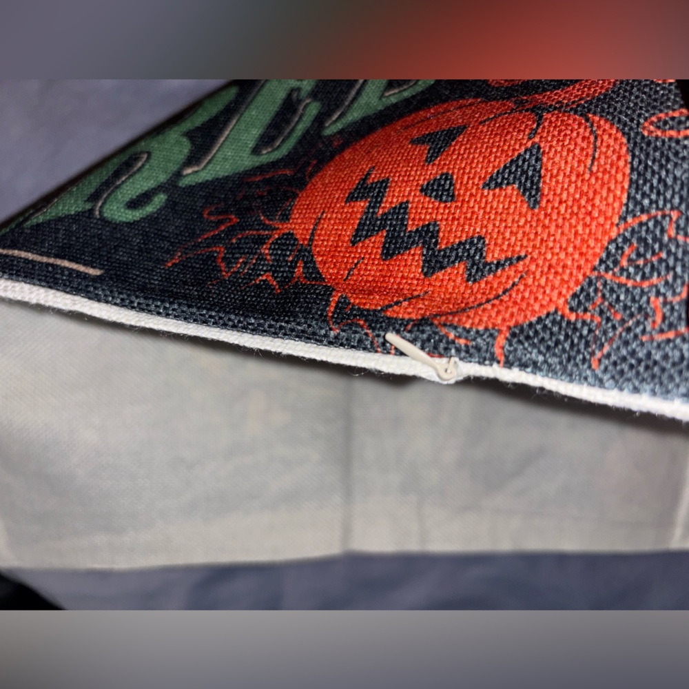 2 New Halloween Throw Pillow Covers—Keep It Creepy - Picture 4 of 7